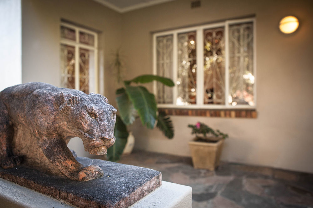 The Lions Guest House Ciudad del Cabo Exterior foto