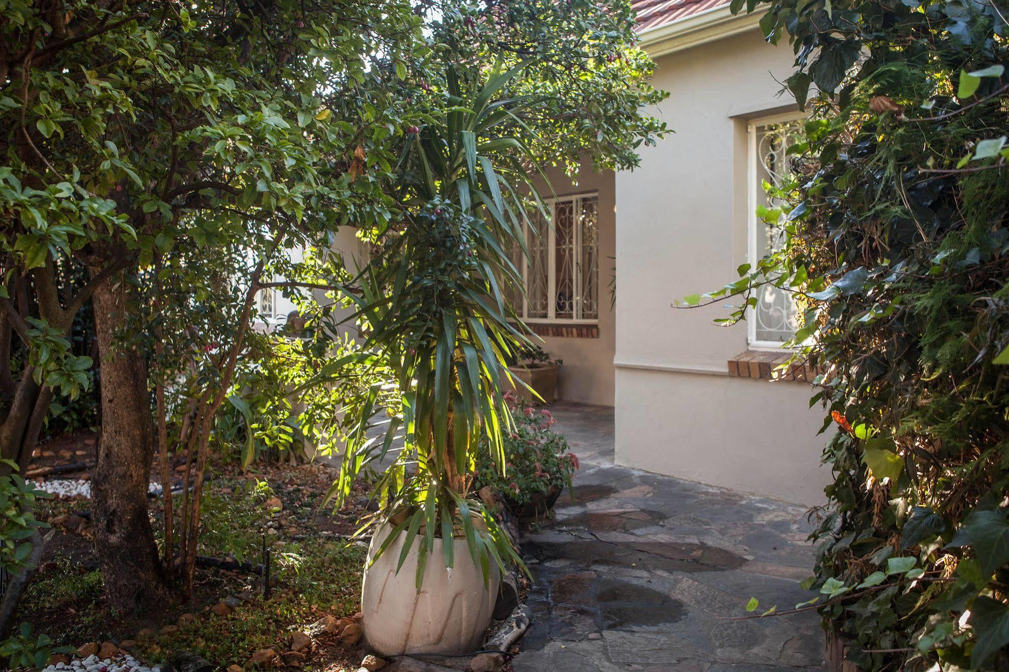 The Lions Guest House Ciudad del Cabo Exterior foto