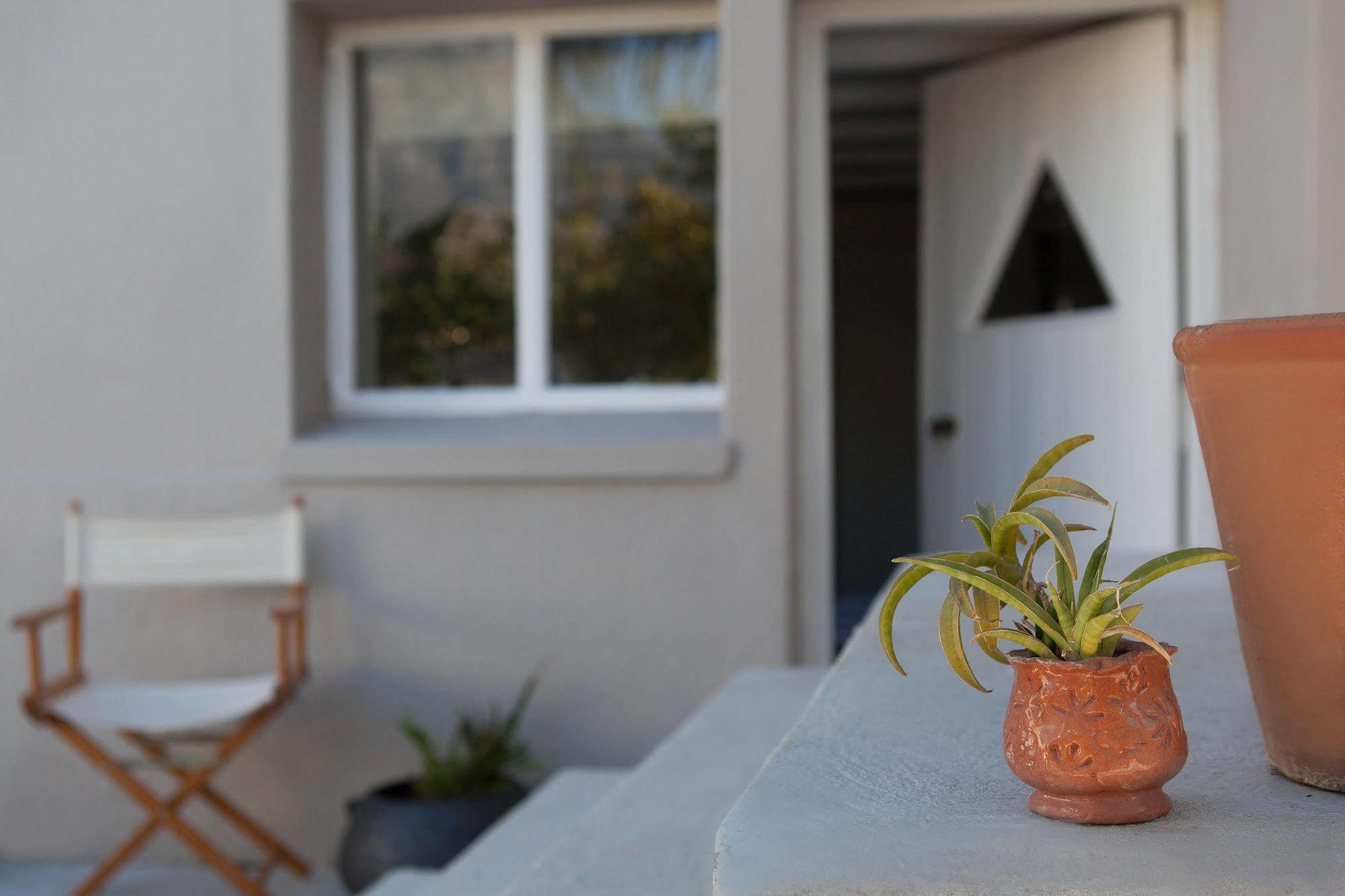 The Lions Guest House Ciudad del Cabo Exterior foto